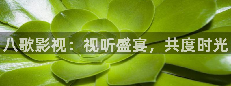 飘雪影院我不卡：八歌影视：视听盛宴，共度时光
