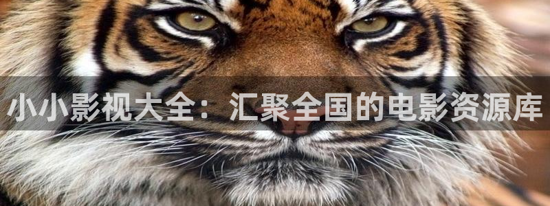 飘雪影院伦理：小小影视大全：汇聚全国的电影资源库