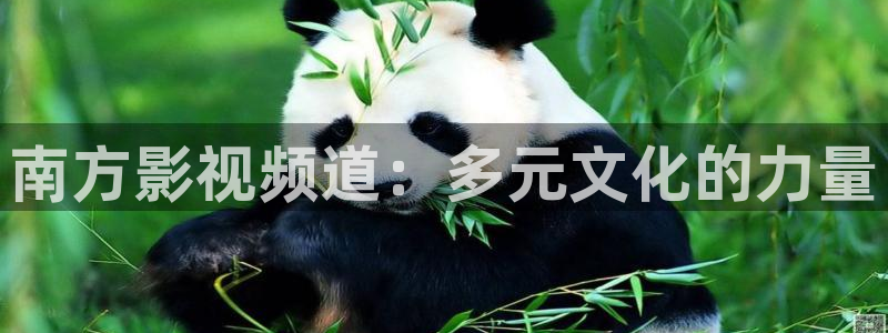 飘雪影院最新电影：南方影视频道：多元文化的力量