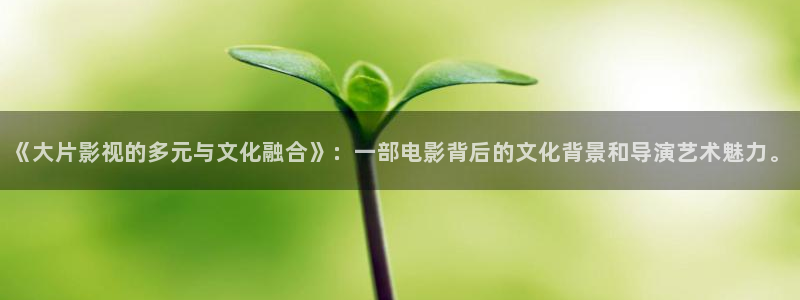 飘雪影院在线观看免费版高清动漫：《大片影视的多元与文化融合》：一部电影背后的文化背景和导演艺术魅力。