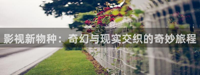 飘雪影视在线观看高清版：影视新物种：奇幻与现实交织的奇妙旅程
