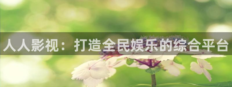 飘雪影院日剧在线观看：人人影视：打造全民娱乐的综合平台