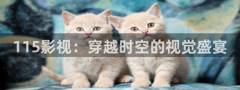 飘雪影院最新电视剧：115影视：穿越时空的视觉盛宴