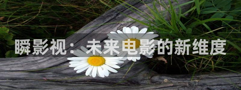 飘雪影视粤语观看西瓜：瞬影视：未来电影的新维度